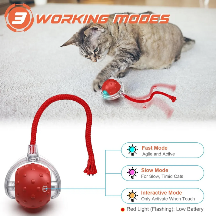 🐱🐶Automatic LED Interactive Pet Toys Ball🔥