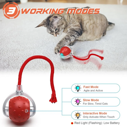 🐱🐶Automatic LED Interactive Pet Toys Ball🔥