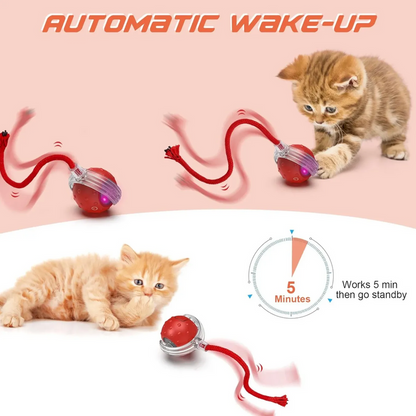 🐱🐶Automatic LED Interactive Pet Toys Ball🔥