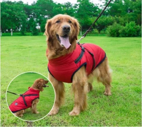 Waterproof Furry Jacket for Dogs of All Sizes