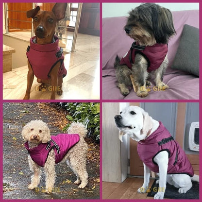 Waterproof Furry Jacket for Dogs of All Sizes