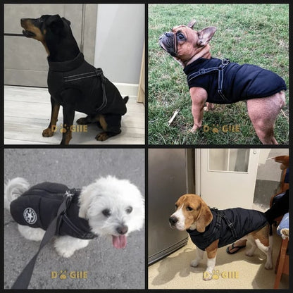 Waterproof Furry Jacket for Dogs of All Sizes