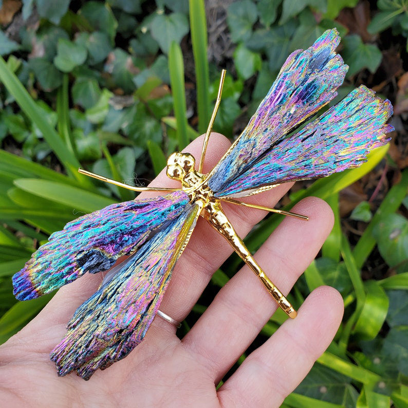 AURA TOURMALINE KYANITE DRAGONFLY