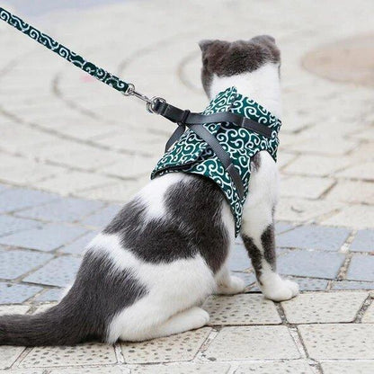 🔥Clearance Sale 48% OFF🔥Cat Dogs Vest Harness and Leash Anti-break Away Chest Strap Cat Clothes👍Buy 3 Free Shipping