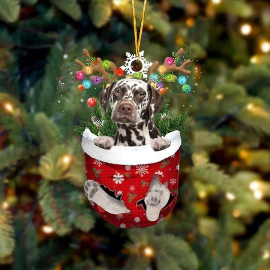 Brown Dalmatian In Snow Pocket Christmas Ornament