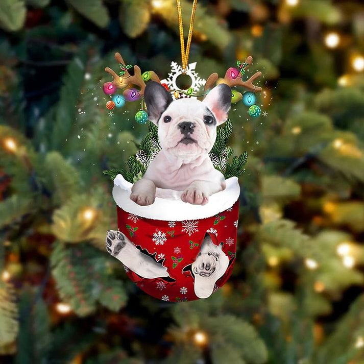 White French Bull Dog In Snow Pocket Christmas