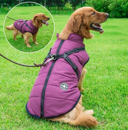 Waterproof Furry Jacket for Dogs of All Sizes