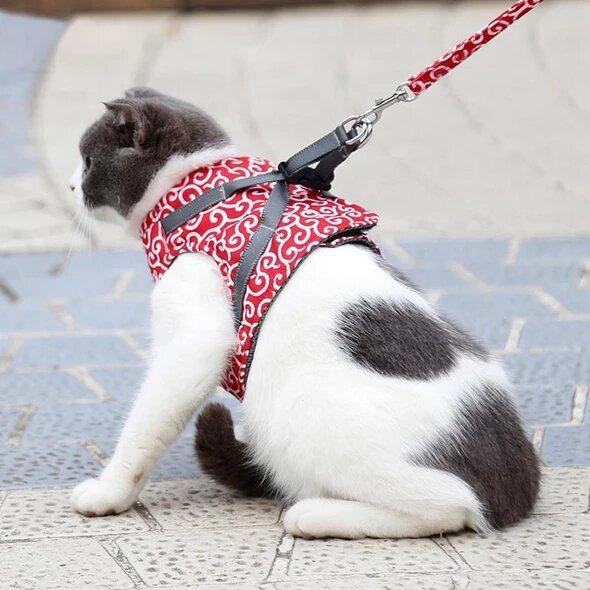 🔥Clearance Sale 48% OFF🔥Cat Dogs Vest Harness and Leash Anti-break Away Chest Strap Cat Clothes👍Buy 3 Free Shipping