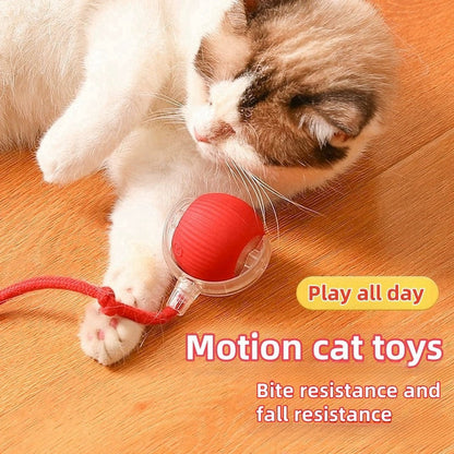 🐱🐶Automatic LED Interactive Pet Toys Ball🔥