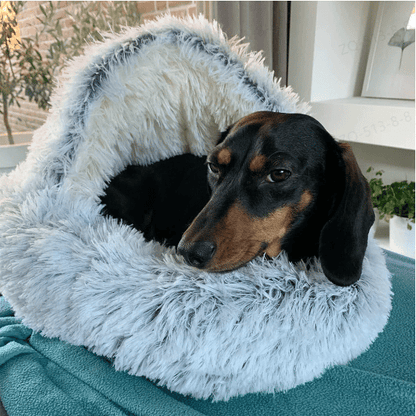 🐶Hot Sale-49% OFF😺 - Premium Pet Bed