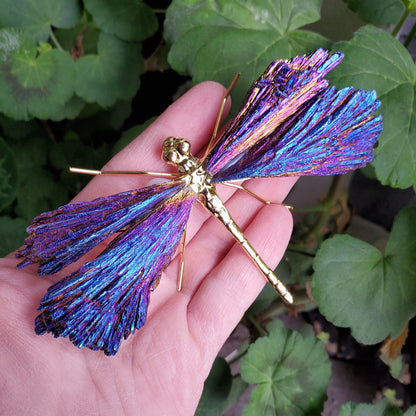 AURA TOURMALINE KYANITE DRAGONFLY