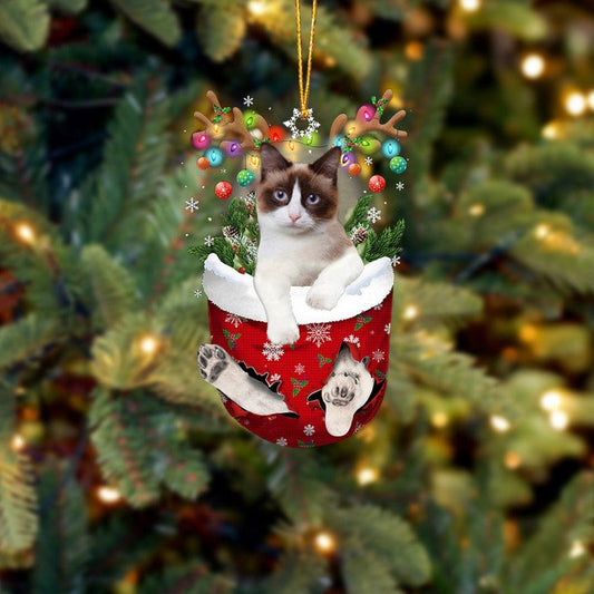 SNOWSHOE CAT IN SNOW POCKET CHRISTMAS ORNAMENT