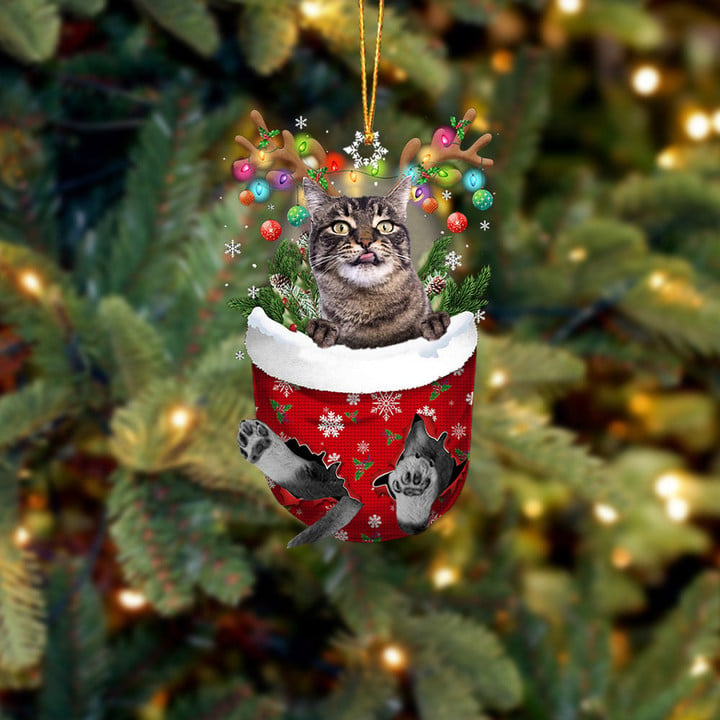 CAT 20 IN SNOW POCKET CHRISTMAS ORNAMENT