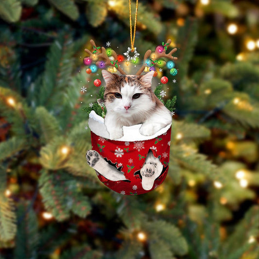 CAT 29 IN SNOW POCKET CHRISTMAS ORNAMENT