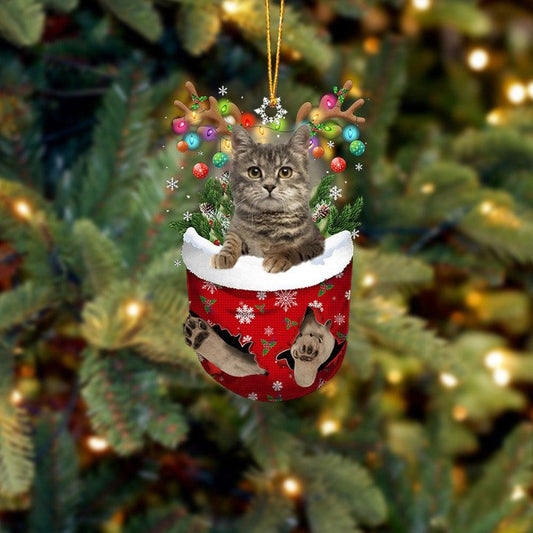 EUROPEAN SHORTHAIR IN SNOW POCKET CHRISTMAS ORNAMENT