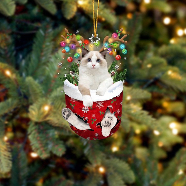 RAGDOLL IN SNOW POCKET CHRISTMAS ORNAMENT