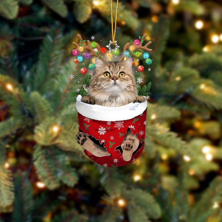 CAT 16 IN SNOW POCKET CHRISTMAS ORNAMENT