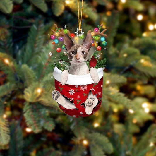 CORNISH REX CAT IN SNOW POCKET CHRISTMAS ORNAMENT