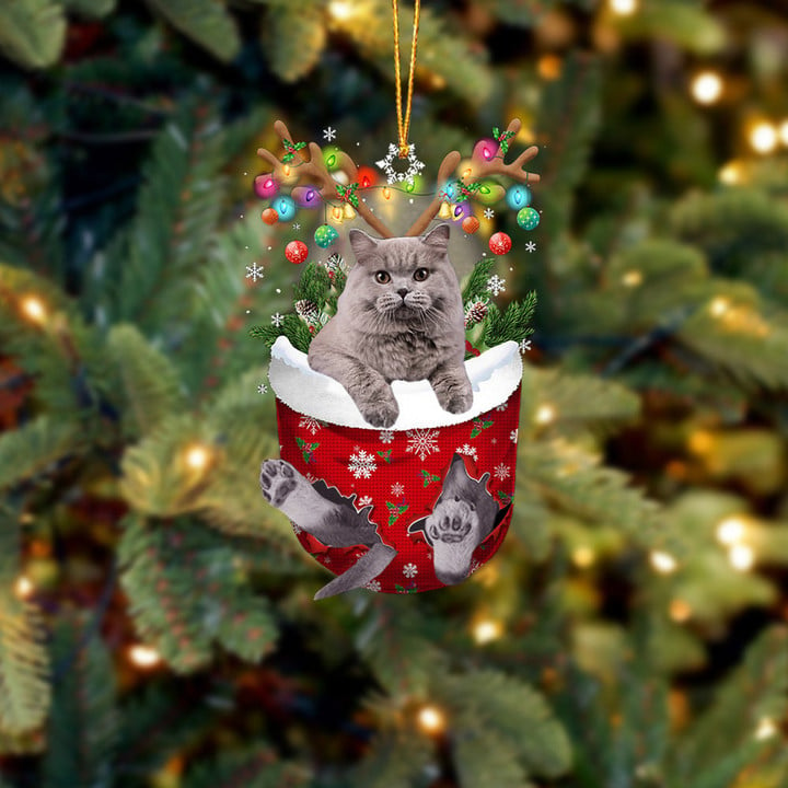 CAT 24 IN SNOW POCKET CHRISTMAS ORNAMENT