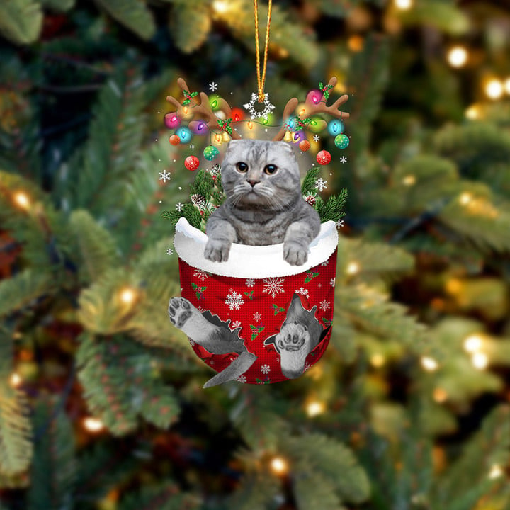 CAT SCOTTISH FOLD IN SNOW POCKET CHRISTMAS ORNAMENT