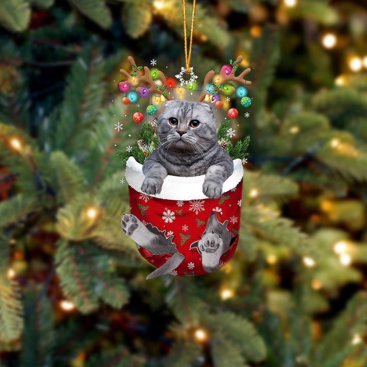 SCHOTTISCHE FALTENKATZE IN SCHNEETASCHE WEIHNACHTSVERZIERUNG 