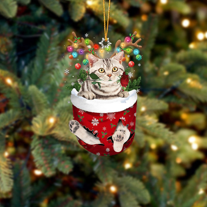 AMERICAN SHORTHAIR CAT IN SNOW POCKET CHRISTMAS ORNAMENT