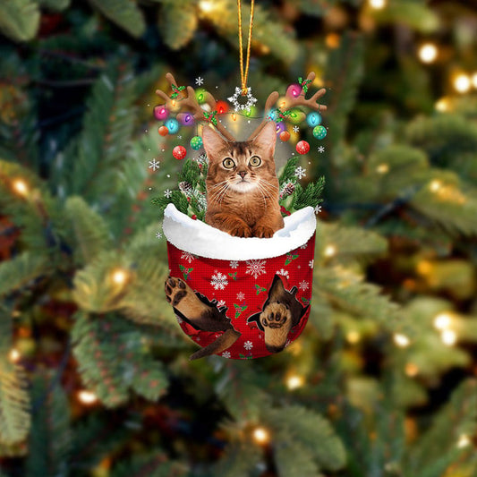 CAT 19 IN SNOW POCKET CHRISTMAS ORNAMENT