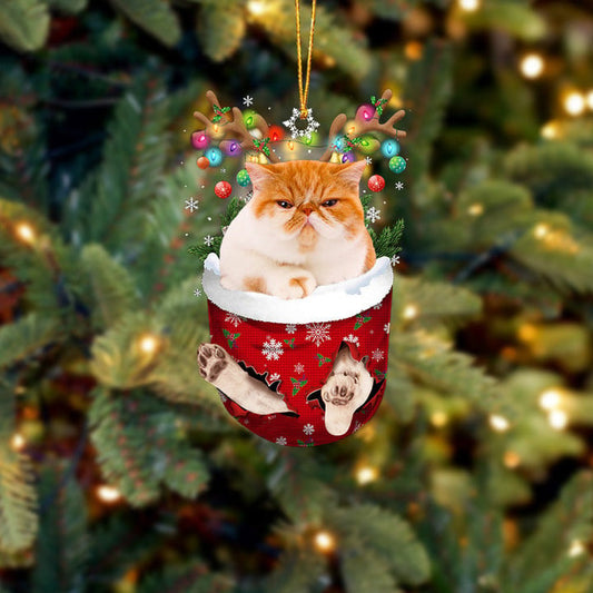 CAT 30 IN SNOW POCKET CHRISTMAS ORNAMENT