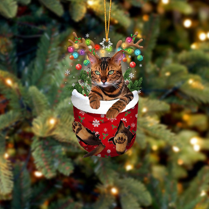 CAT TIGER IN SNOW POCKET CHRISTMAS ORNAMENT