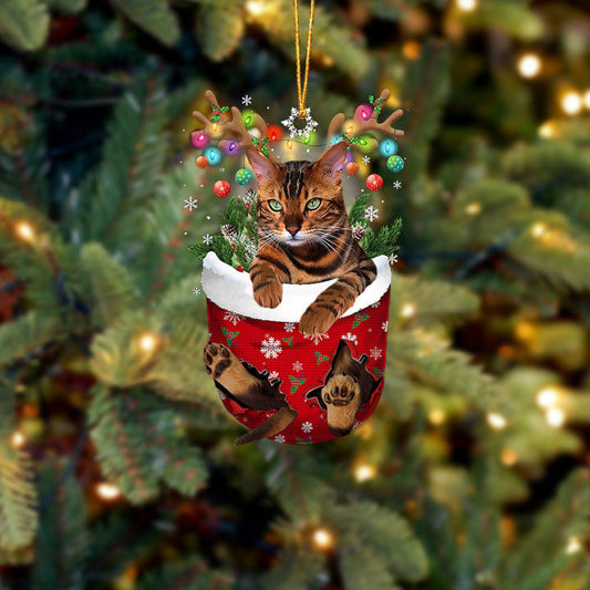 CAT TIGER IN SNOW POCKET CHRISTMAS ORNAMENT