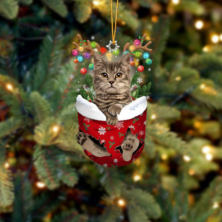 BROWN CAT IN SNOW POCKET CHRISTMAS ORNAMENT