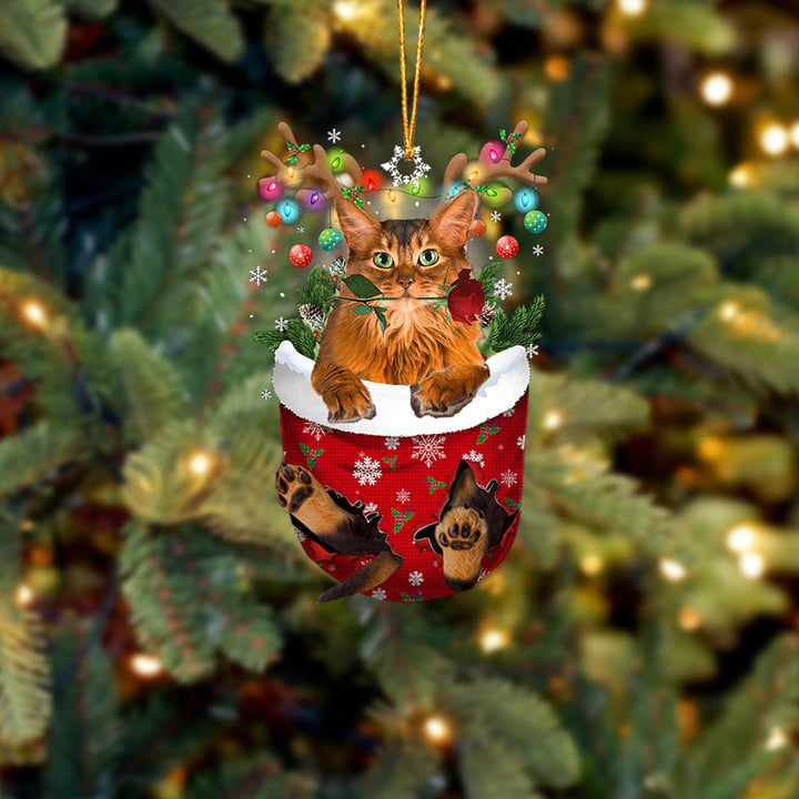 SOMALI CAT IN SNOW POCKET CHRISTMAS ORNAMENT