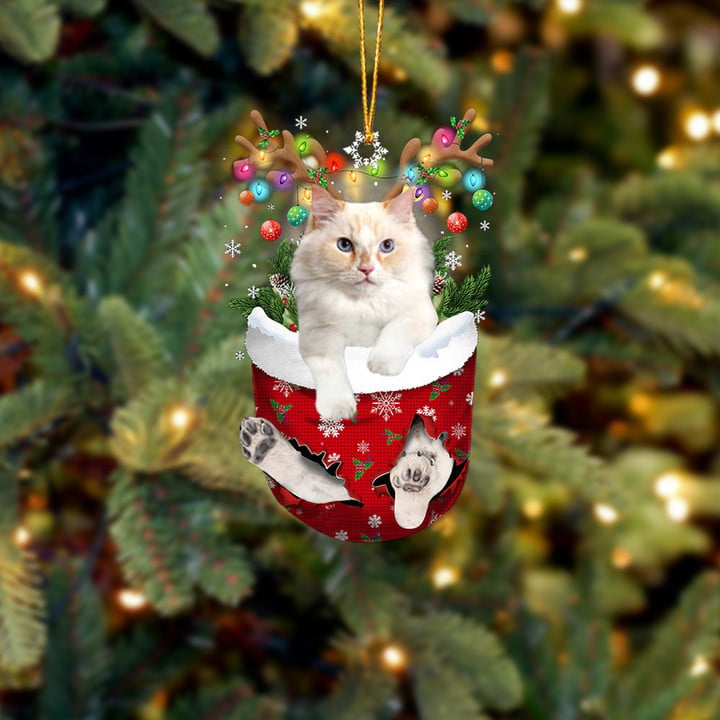 CORNISH REX IN SNOW POCKET CHRISTMAS ORNAMENT