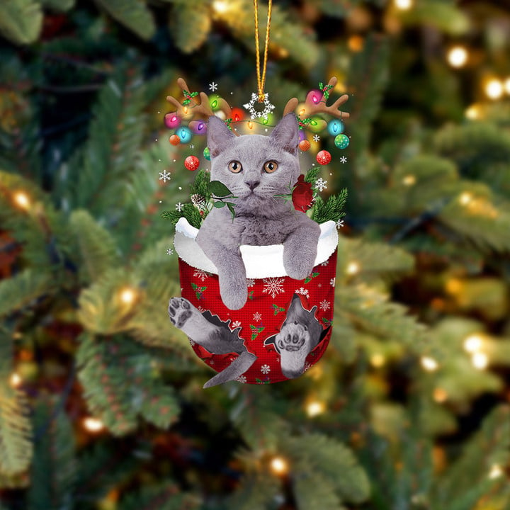 BRITISH SHORTHAIR CAT IN SNOW POCKET CHRISTMAS ORNAMENT