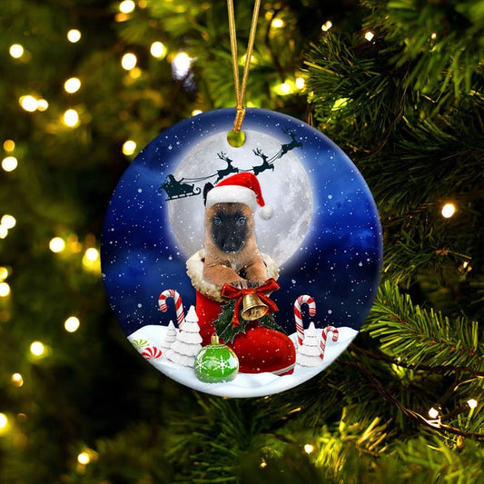 Belgaischer Malinois im Weihnachtsmann-Stiefel, weihnachtliches Keramikornament 