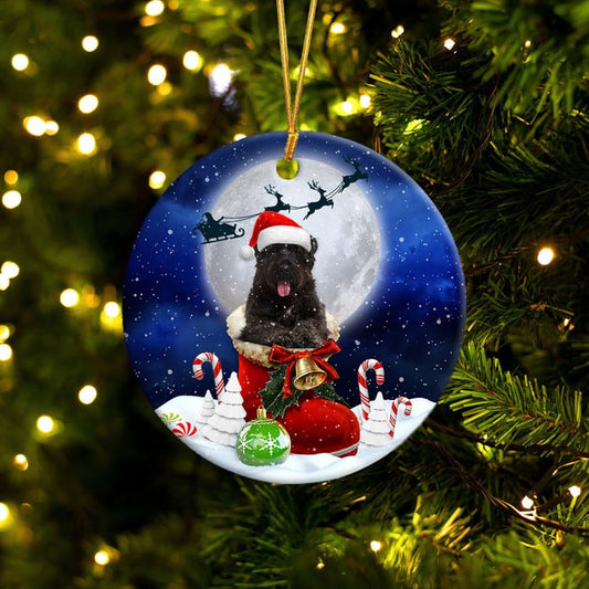 Bouvier In Santa Boot Weihnachtskeramikornament 