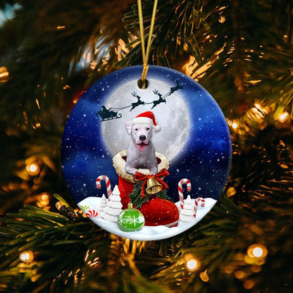 Dogo Argentino im Weihnachtsmann-Stiefel, weihnachtliches Keramikornament 