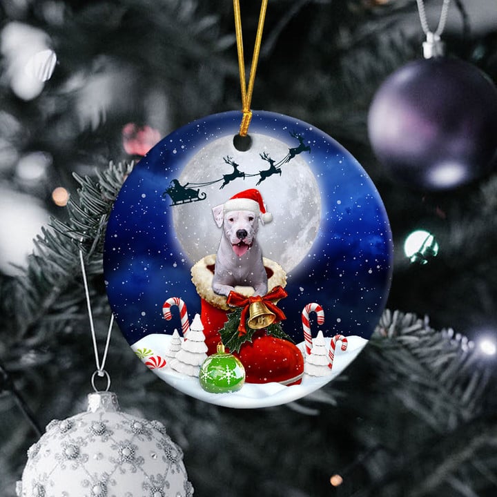 Dogo Argentino im Weihnachtsmann-Stiefel, weihnachtliches Keramikornament 