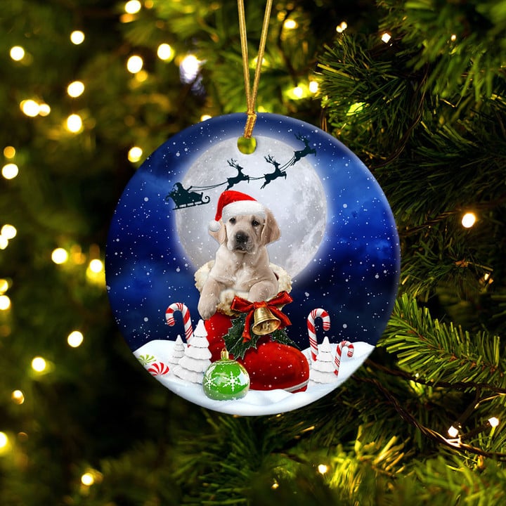 Golden Retriever In Santa Boot Christmas Ceramic Ornament