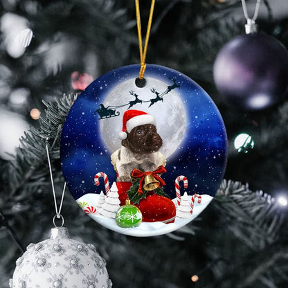 Wirehaired Pointing Griffon In Santa Boot Christmas Ceramic Ornament