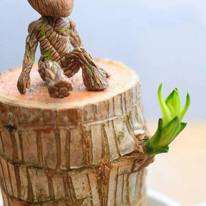 🔥Brazilwood Hydroponic Plants Groot Lucky Wood Potted🔥