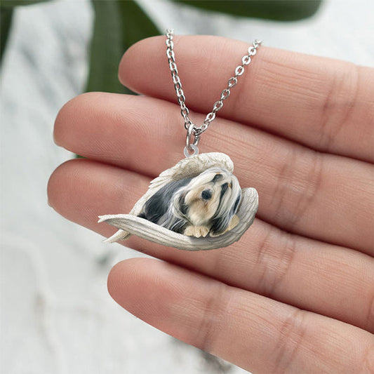 Collier en acier inoxydable Bearded Collie Sleeping Angel