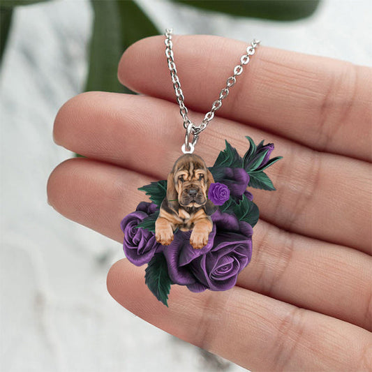 Collier en acier inoxydable Bloodhound In Purple Rose