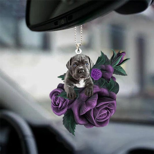 Cane Corso en ornement suspendu de voiture rose pourpre