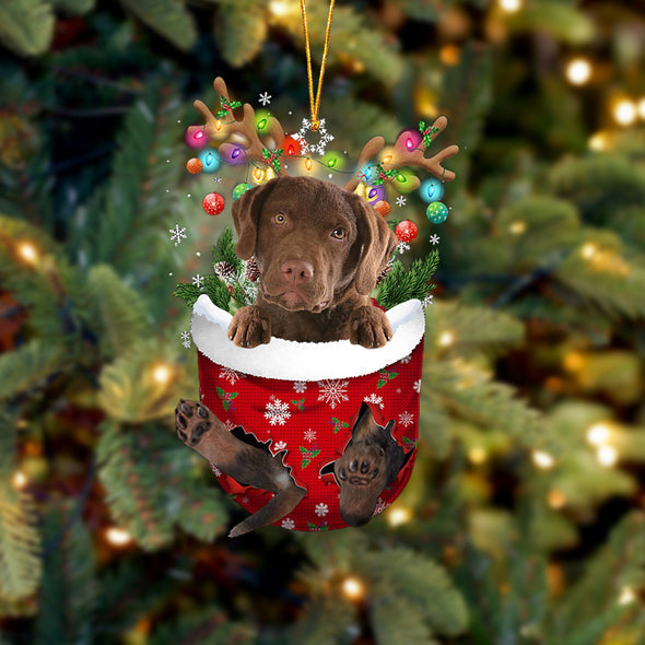 Chesapeake Bay Retriever In Snow Pocket Christmas Ornament