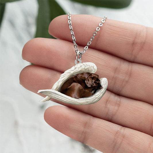 Collier en acier inoxydable Labrador endormi ange chocolat