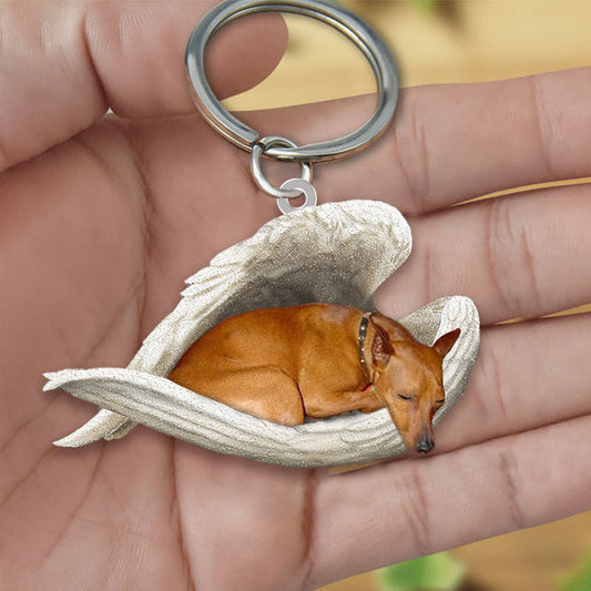 Dog Sleeping Angel Acrylic Keychain