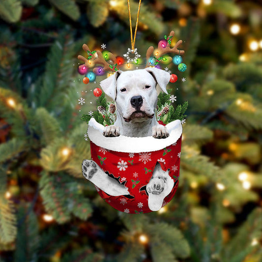 Ornement de Noël Dogo Argentino dans la poche de neige 