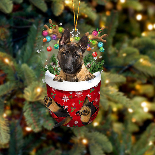 Malinois In Snow Pocket Christmas Ornament