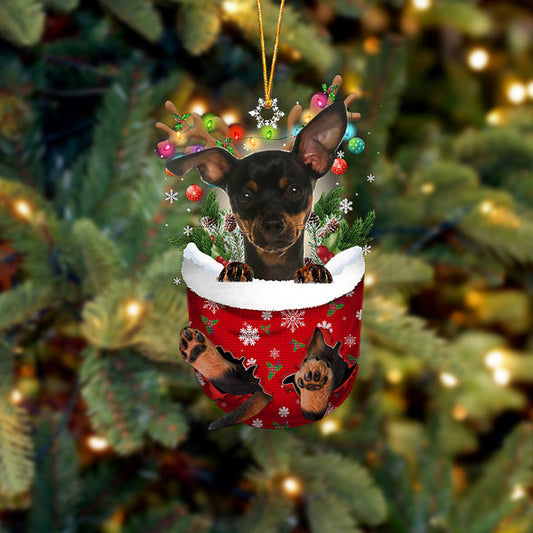 Ornement De Noël Pinscher nain dans une poche de neige 